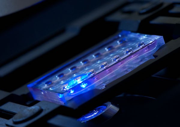 Novel Microfluidic Oncology Screen